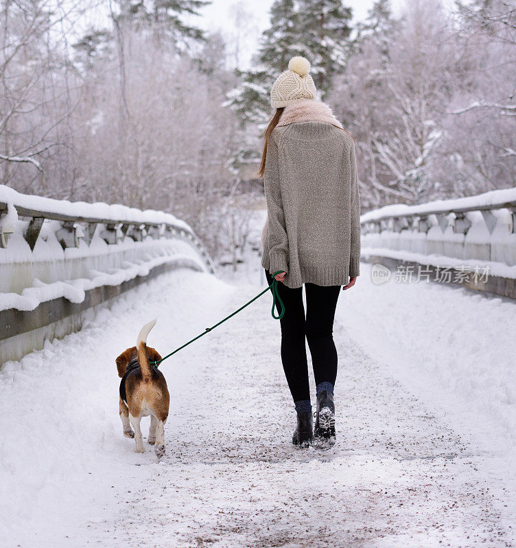 快乐的女人走/跑与比格犬冬季散步小路